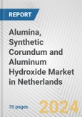 Alumina, Synthetic Corundum and Aluminum Hydroxide Market in Netherlands: Business Report 2024- Product Image