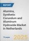 Alumina, Synthetic Corundum and Aluminum Hydroxide Market in Netherlands: Business Report 2025 - Product Thumbnail Image