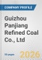 Guizhou Panjiang Refined Coal Co., Ltd. Fundamental Company Report Including Financial, SWOT, Competitors and Industry Analysis - Product Thumbnail Image