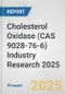 Cholesterol Oxidase (CAS 9028-76-6) Industry Research 2025: Global and Regional Market Trends 2019-2024 and Forecast to 2029 - Product Image