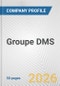 Groupe DMS Fundamental Company Report Including Financial, SWOT, Competitors and Industry Analysis - Product Thumbnail Image