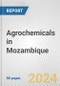 Agrochemicals in Mozambique: Business Report 2024 - Product Thumbnail Image