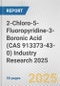 2-Chloro-5-Fluoropyridine-3-Boronic Acid (CAS 913373-43-0) Industry Research 2025: Global and Regional Market Trends 2019-2024 and Forecast to 2029 - Product Thumbnail Image