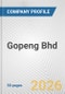 Gopeng Bhd Fundamental Company Report Including Financial, SWOT, Competitors and Industry Analysis - Product Thumbnail Image