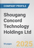 Shougang Concord Technology Holdings Ltd. Fundamental Company Report Including Financial, SWOT, Competitors and Industry Analysis- Product Image