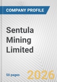 Sentula Mining Limited Fundamental Company Report Including Financial, SWOT, Competitors and Industry Analysis- Product Image
