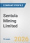 Sentula Mining Limited Fundamental Company Report Including Financial, SWOT, Competitors and Industry Analysis - Product Thumbnail Image