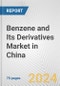 Benzene and Its Derivatives Market in China: Business Report 2020 - Product Thumbnail Image