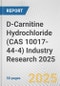 D-Carnitine Hydrochloride (CAS 10017-44-4) Industry Research 2025: Global and Regional Market Trends 2019-2024 and Forecast to 2029 - Product Thumbnail Image
