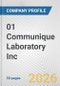 01 Communique Laboratory Inc. Fundamental Company Report Including Financial, SWOT, Competitors and Industry Analysis - Product Thumbnail Image