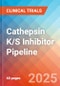 Cathepsin K/S Inhibitor - Pipeline Insight, 2024 - Product Image