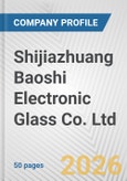 Shijiazhuang Baoshi Electronic Glass Co. Ltd. Fundamental Company Report Including Financial, SWOT, Competitors and Industry Analysis- Product Image