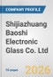 Shijiazhuang Baoshi Electronic Glass Co. Ltd. Fundamental Company Report Including Financial, SWOT, Competitors and Industry Analysis - Product Thumbnail Image