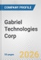 Gabriel Technologies Corp. Fundamental Company Report Including Financial, SWOT, Competitors and Industry Analysis - Product Thumbnail Image
