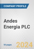 Andes Energia PLC Fundamental Company Report Including Financial, SWOT, Competitors and Industry Analysis- Product Image