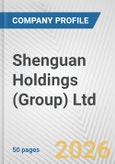 Shenguan Holdings (Group) Ltd. Fundamental Company Report Including Financial, SWOT, Competitors and Industry Analysis- Product Image
