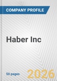 Haber Inc. Fundamental Company Report Including Financial, SWOT, Competitors and Industry Analysis- Product Image
