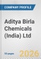 Aditya Birla Chemicals (India) Ltd Fundamental Company Report Including Financial, SWOT, Competitors and Industry Analysis - Product Thumbnail Image