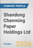 Shandong Chenming Paper Holdings Ltd. Fundamental Company Report Including Financial, SWOT, Competitors and Industry Analysis- Product Image