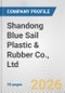 Shandong Blue Sail Plastic & Rubber Co., Ltd. Fundamental Company Report Including Financial, SWOT, Competitors and Industry Analysis - Product Thumbnail Image
