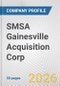 SMSA Gainesville Acquisition Corp. Fundamental Company Report Including Financial, SWOT, Competitors and Industry Analysis - Product Thumbnail Image