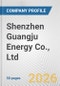 Shenzhen Guangju Energy Co., Ltd. Fundamental Company Report Including Financial, SWOT, Competitors and Industry Analysis - Product Thumbnail Image
