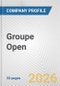 Groupe Open Fundamental Company Report Including Financial, SWOT, Competitors and Industry Analysis - Product Thumbnail Image