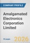 Amalgamated Electronics Corporation Limited Fundamental Company Report Including Financial, SWOT, Competitors and Industry Analysis - Product Thumbnail Image