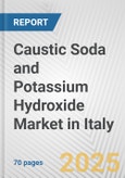 Caustic Soda and Potassium Hydroxide Market in Italy: Business Report 2024- Product Image