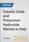 Caustic Soda and Potassium Hydroxide Market in Italy: Business Report 2022 - Product Thumbnail Image