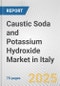 Caustic Soda and Potassium Hydroxide Market in Italy: Business Report 2025 - Product Thumbnail Image