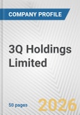 3Q Holdings Limited Fundamental Company Report Including Financial, SWOT, Competitors and Industry Analysis- Product Image