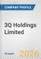 3Q Holdings Limited Fundamental Company Report Including Financial, SWOT, Competitors and Industry Analysis - Product Thumbnail Image