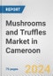 Mushrooms and Truffles Market in Cameroon: Business Report 2024 - Product Thumbnail Image
