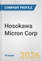 Hosokawa Micron Corp. Fundamental Company Report Including Financial, SWOT, Competitors and Industry Analysis - Product Thumbnail Image