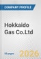 Hokkaido Gas Co.Ltd. Fundamental Company Report Including Financial, SWOT, Competitors and Industry Analysis - Product Thumbnail Image