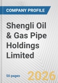 Shengli Oil & Gas Pipe Holdings Limited Fundamental Company Report Including Financial, SWOT, Competitors and Industry Analysis- Product Image