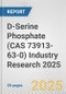 D-Serine Phosphate (CAS 73913-63-0) Industry Research 2025: Global and Regional Market Trends 2019-2024 and Forecast to 2029 - Product Thumbnail Image