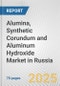 Alumina, Synthetic Corundum and Aluminum Hydroxide Market in Russia: Business Report 2025 - Product Thumbnail Image