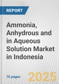 Ammonia, Anhydrous And In Aqueous Solution Market in Indonesia: Business Report 2024- Product Image