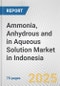 Ammonia, Anhydrous And In Aqueous Solution Market in Indonesia: Business Report 2024 - Product Image