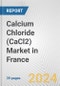Calcium Chloride (CaCl2) Market in France: 2017-2023 Review and Forecast to 2027 - Product Thumbnail Image