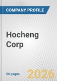 Hocheng Corp. Fundamental Company Report Including Financial, SWOT, Competitors and Industry Analysis- Product Image