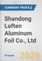 Shandong Loften Aluminum Foil Co., Ltd. Fundamental Company Report Including Financial, SWOT, Competitors and Industry Analysis - Product Thumbnail Image