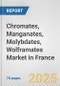 Chromates, Manganates, Molybdates, Wolframates Market in France: Business Report 2024 - Product Image