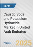 Caustic Soda and Potassium Hydroxide Market in United Arab Emirates: Business Report 2024- Product Image