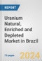 Uranium Natural, Enriched and Depleted Market in Brazil: Business Report 2024 - Product Thumbnail Image