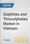 Sulphites and Thiosulphates Market in Vietnam: Business Report 2024 - Product Image