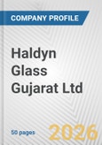 Haldyn Glass Gujarat Ltd. Fundamental Company Report Including Financial, SWOT, Competitors and Industry Analysis- Product Image