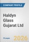 Haldyn Glass Gujarat Ltd. Fundamental Company Report Including Financial, SWOT, Competitors and Industry Analysis - Product Thumbnail Image